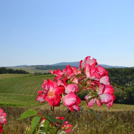 Agriturismo Cignanbianco Castellina in Chianti Ngoại thất bức ảnh