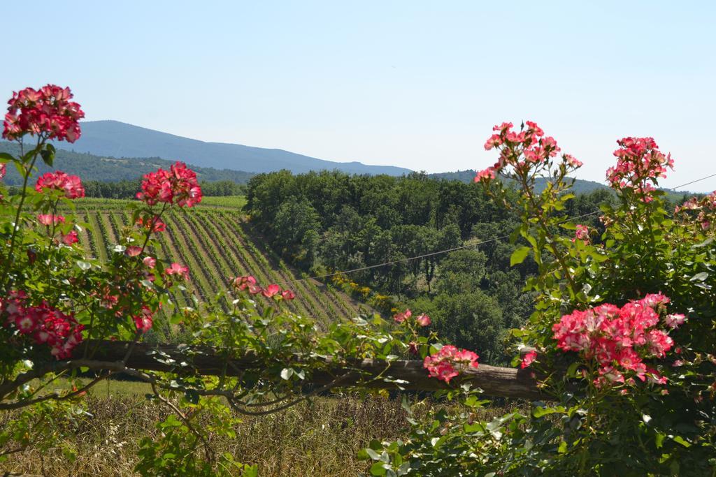 Agriturismo Cignanbianco Castellina in Chianti Ngoại thất bức ảnh