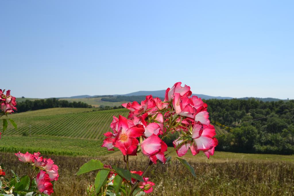 Agriturismo Cignanbianco Castellina in Chianti Ngoại thất bức ảnh